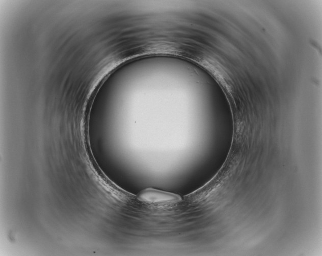 X0000098020947200804071350