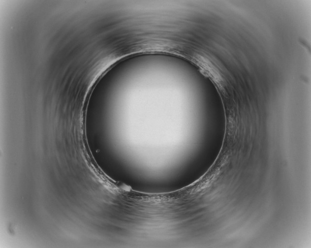 X0000098020948200804071350