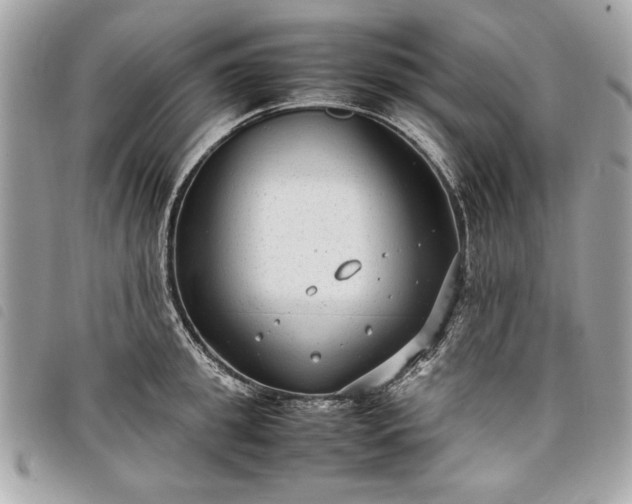 X0000098020949200804071350