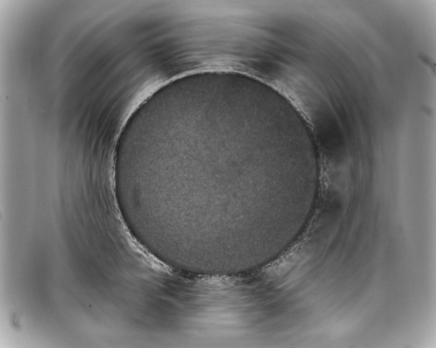 X0000098020950200804071350