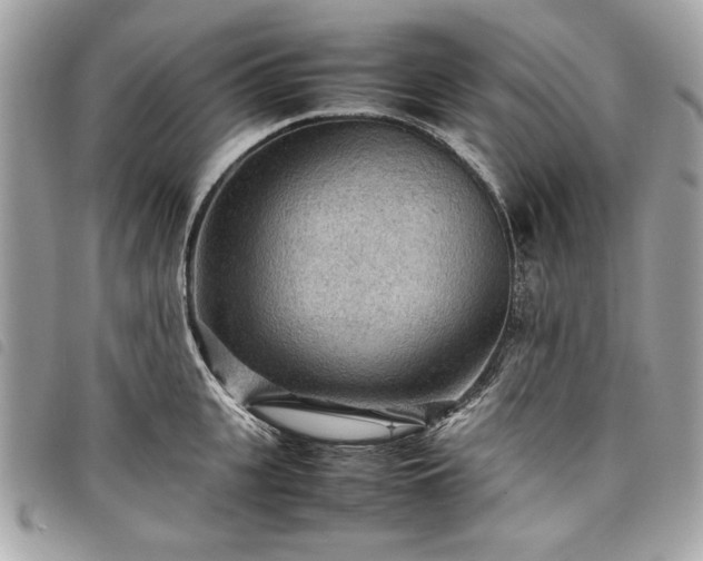 X0000098020951200804071350