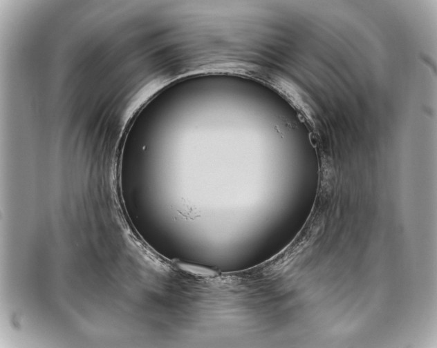 X0000098020952200804071350