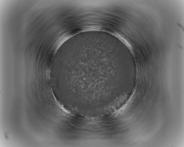 X0000098020953200804071350