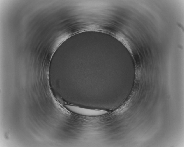 X0000098020954200804071350