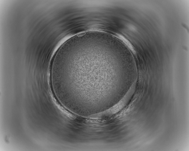 X0000098020955200804071350