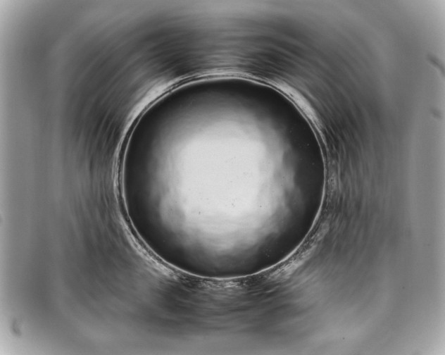 X0000098020957200804071350