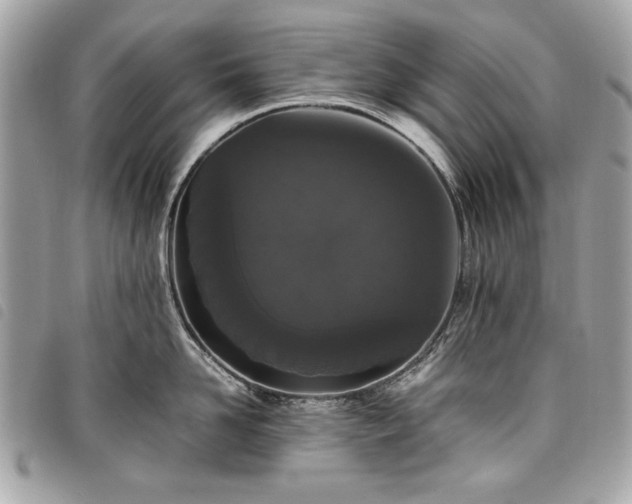 X0000098020958200804071350