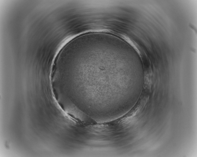 X0000098020959200804071350