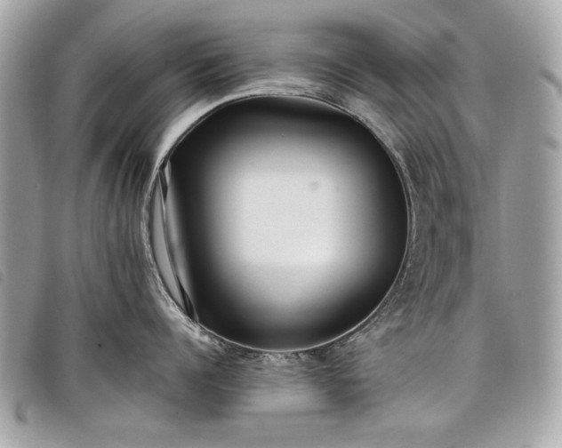 X0000098020960200804071350