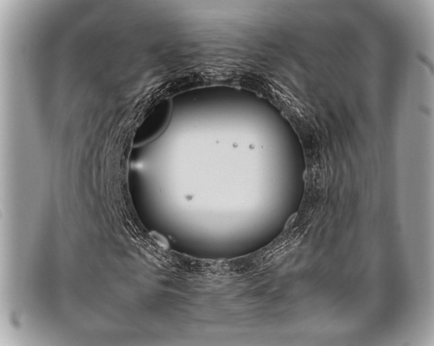 X0000098020961200804071349