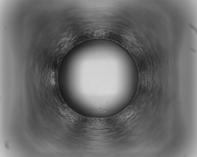 X0000098020962200804071349