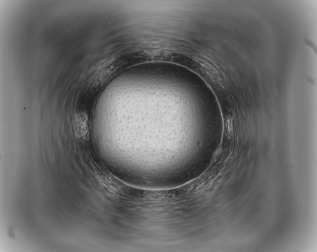 X0000098020963200804071349