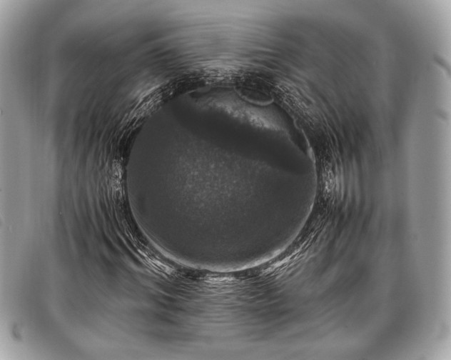 X0000098020964200804071349