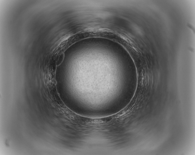 X0000098020966200804071349