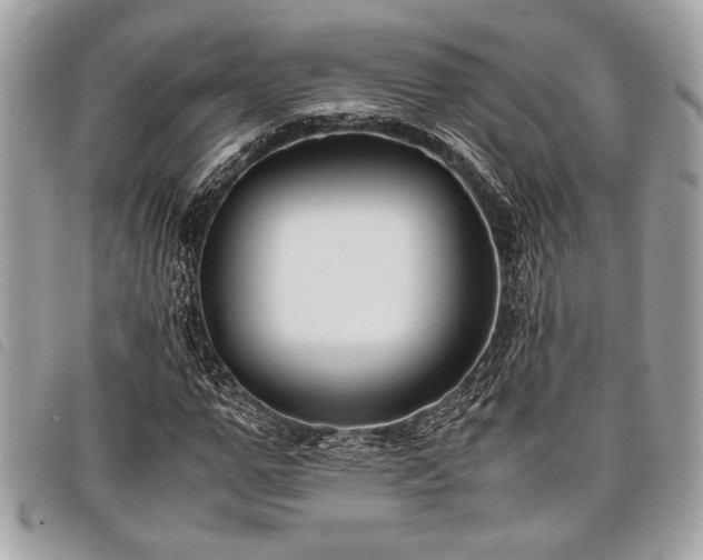 X0000098020967200804071349