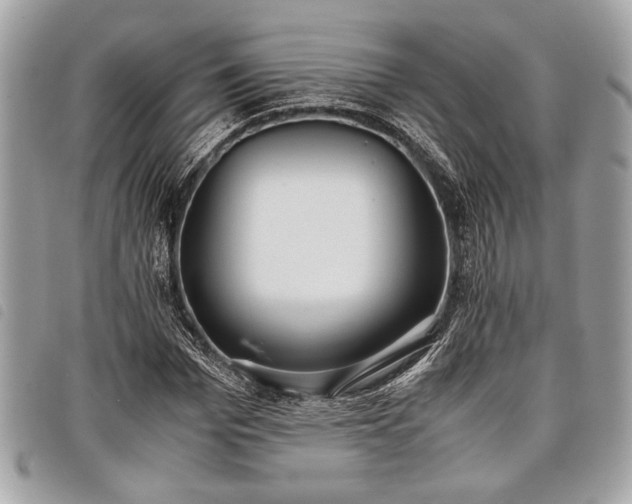 X0000098020969200804071349