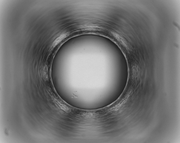 X0000098020970200804071349