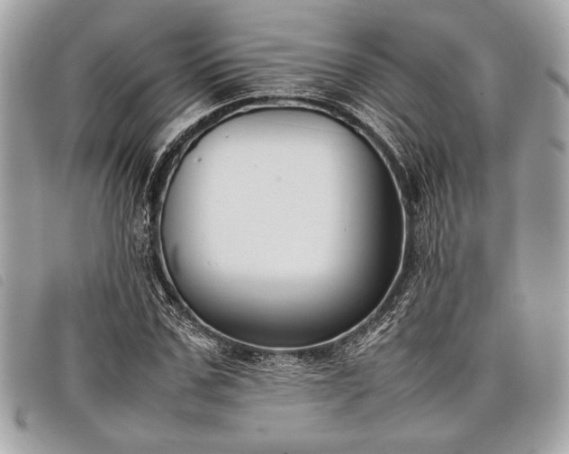 X0000098020971200804071349