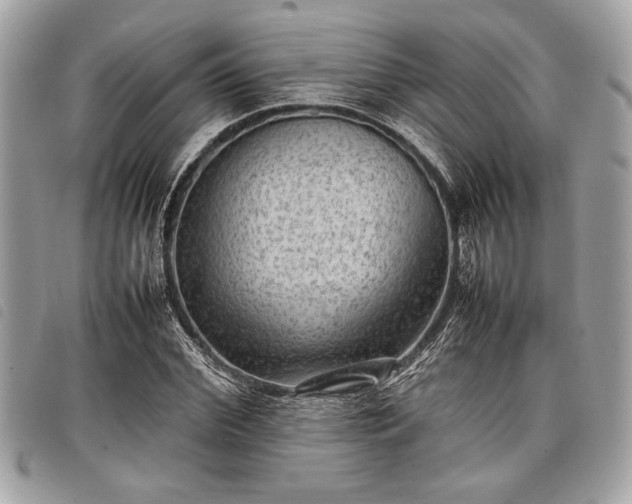 X0000098020972200804071349