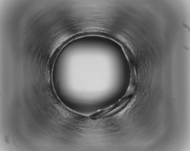 X0000098020973200804071349