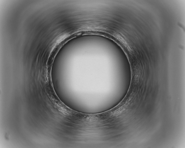 X0000098020974200804071349