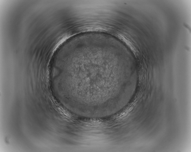 X0000098020975200804071349