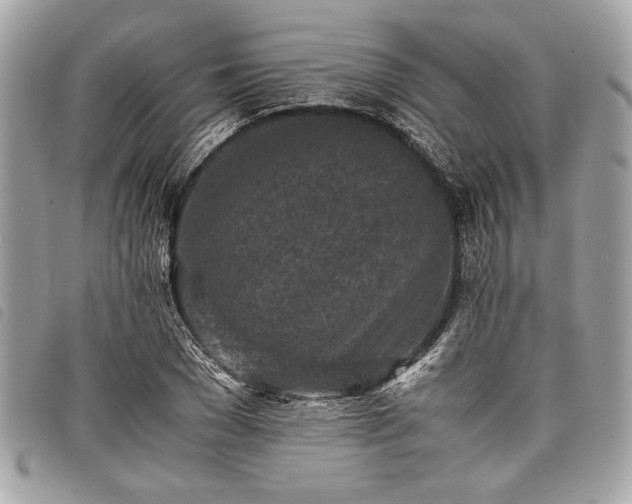 X0000098020977200804071349