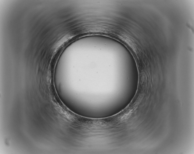 X0000098020979200804071349