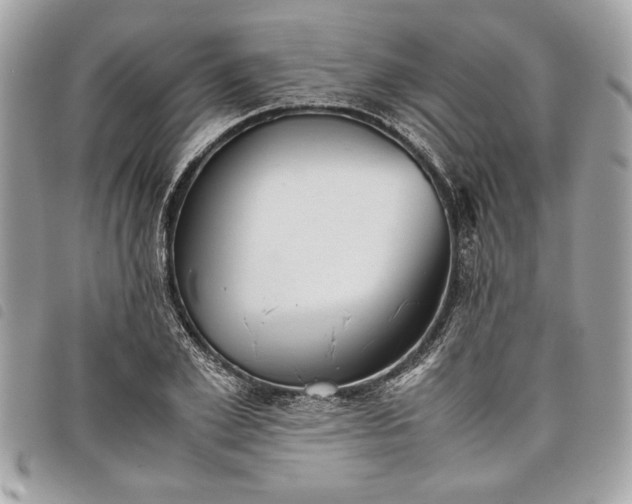 X0000098020981200804071349