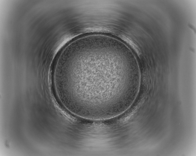 X0000098020983200804071349