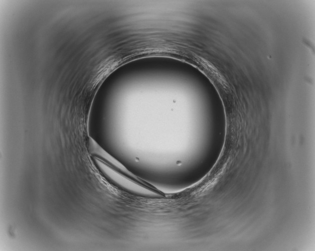 X0000098020985200804071349