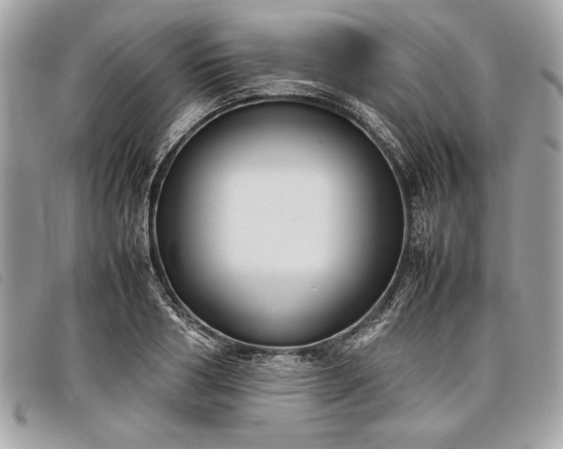 X0000098020986200804071349