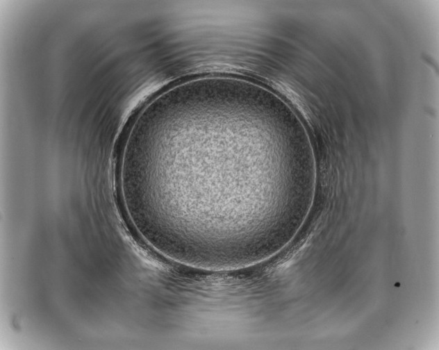 X0000098020987200804071349