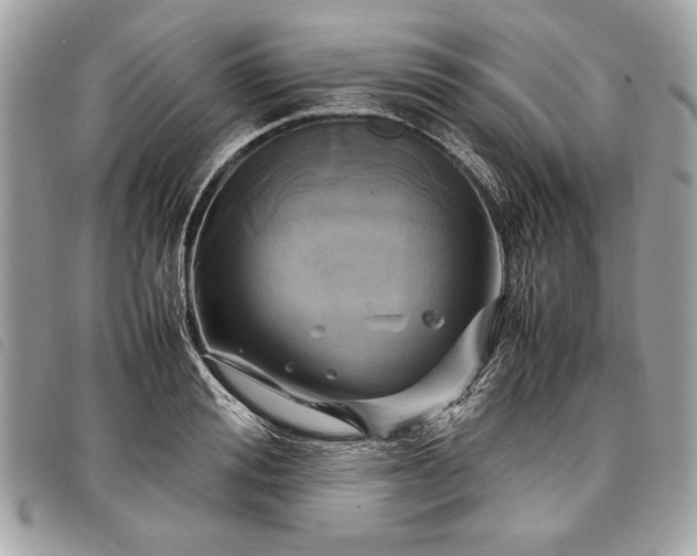 X0000098020988200804071349