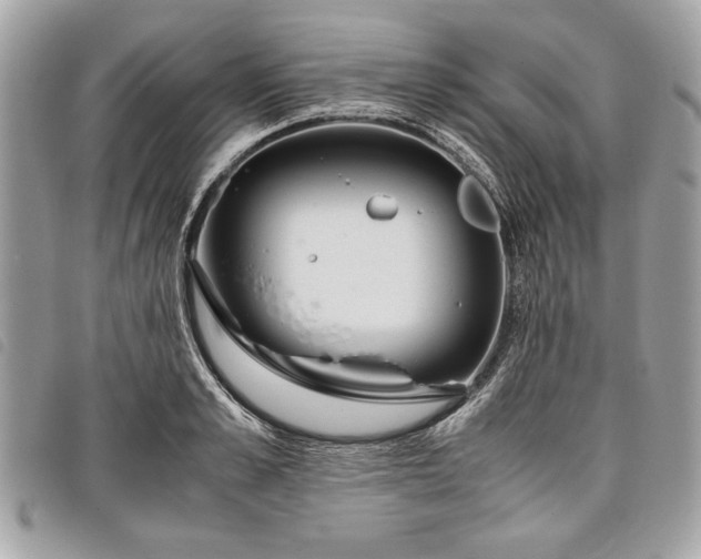 X0000098020989200804071349