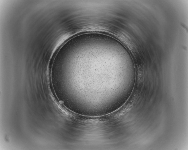 X0000098020990200804071349