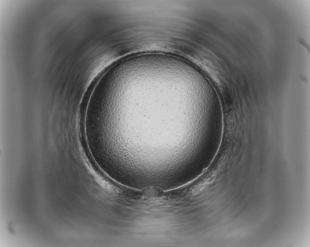 X0000098020991200804071349