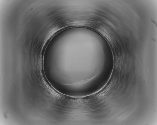 X0000098020992200804071349