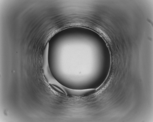 X0000098020993200804071349