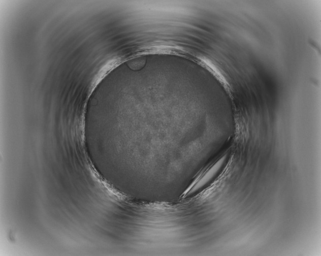 X0000098020994200804071349