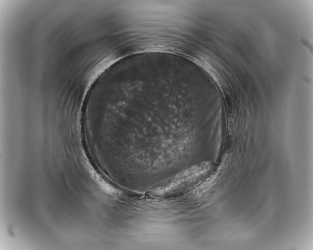 X0000098020995200804071348