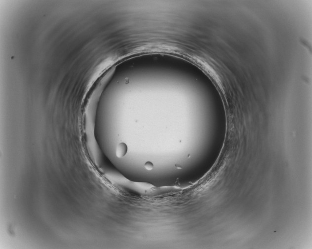 X0000098020997200804071348