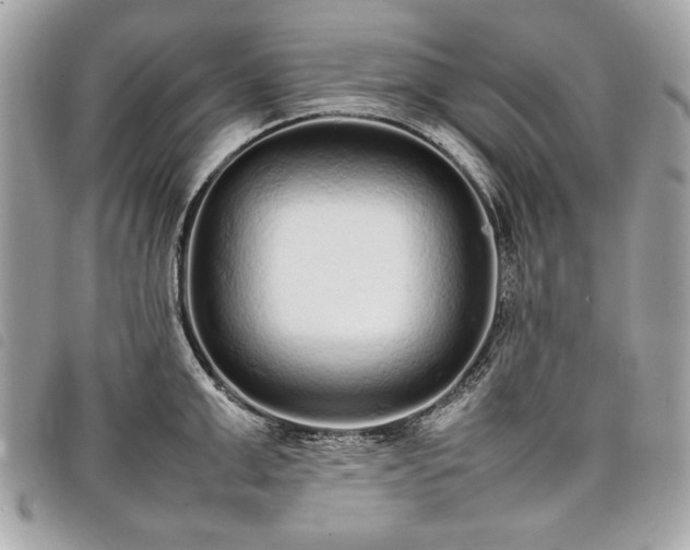 X0000098020999200804071348