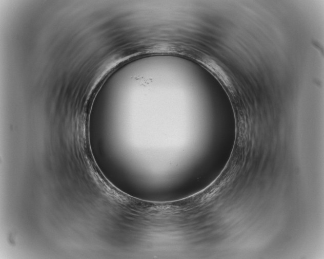 X0000098021000200804071348