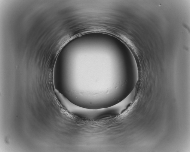 X0000098021001200804071348