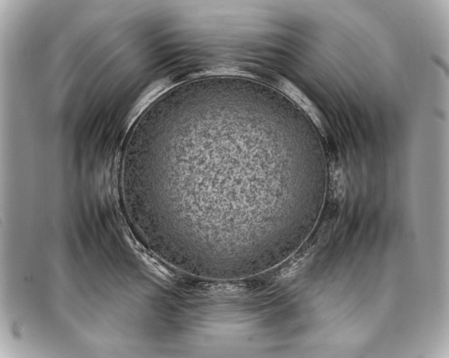 X0000098021002200804071348