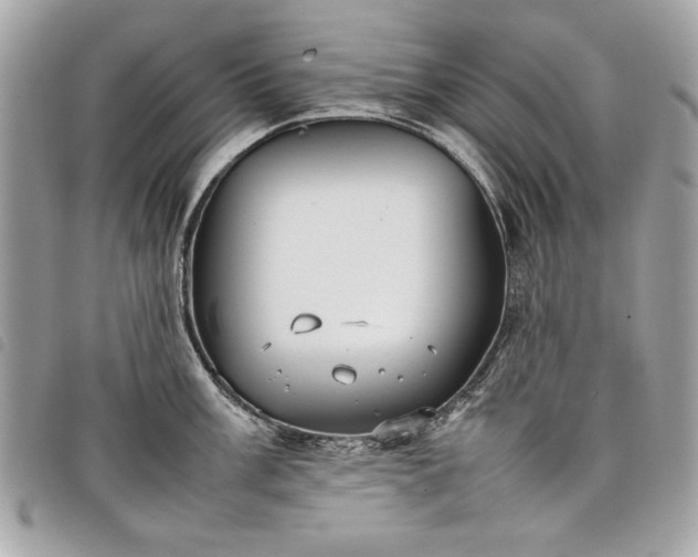 X0000098021003200804071348