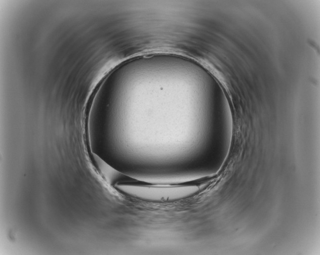 X0000098021005200804071348