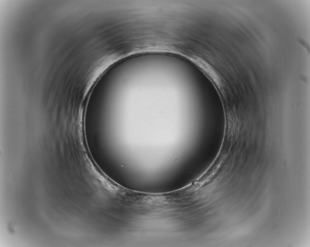 X0000098021006200804071348