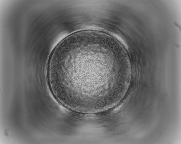 X0000098021007200804071348